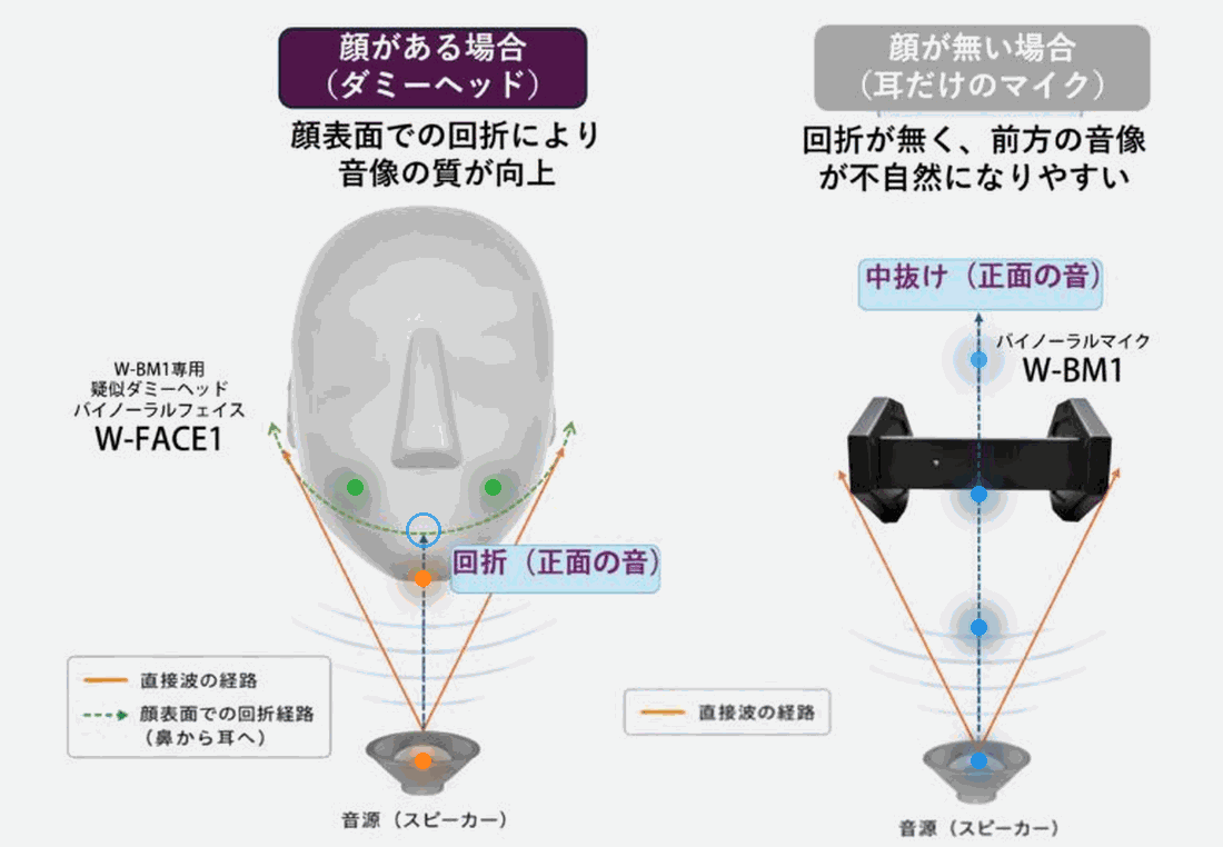 バイノーラルフェイスによる音の回折効果—音波の動きを示すアニメーション